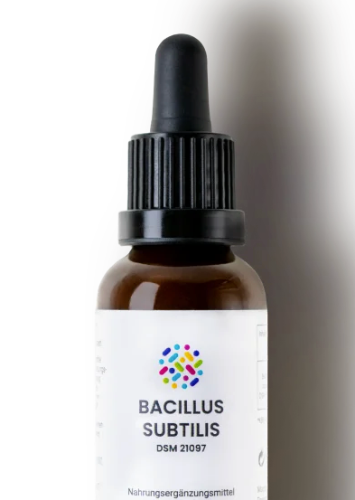 Bacillus subtilis DSM 21097 "10ml"